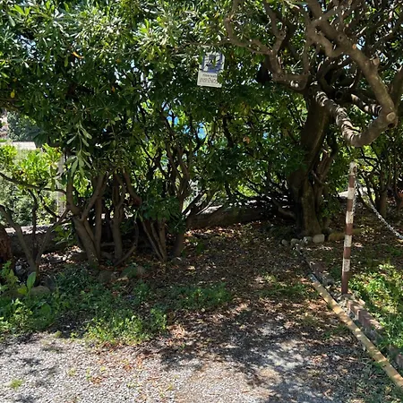 Liguria Holidays - The Lemon House